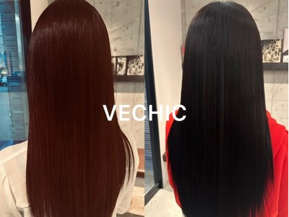 ベシック(VECHIC)の写真