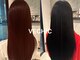 ベシック(VECHIC)の写真
