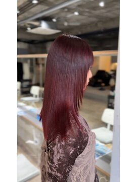 ヒペリカム(hypericum) レッドブラウン