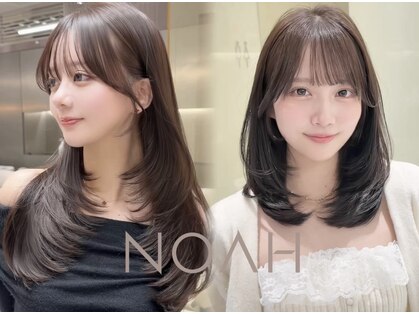 ノア(NOAH)の写真