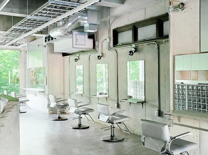 アルテペロ(arte pelo)の写真