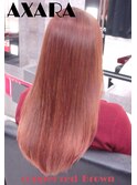【AXARA 海老名】カッパーレッドブラウン