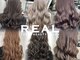 リアル(REAL)の写真