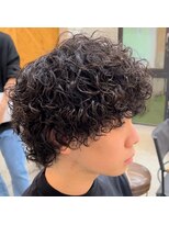 ステラ(STELLA)&nbsp;プードルウルフ