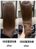 髪質改善トリートメント