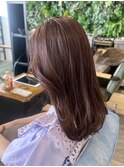 チョコレートカラー