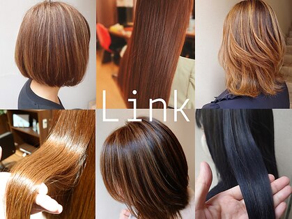 リンク(Link)の写真