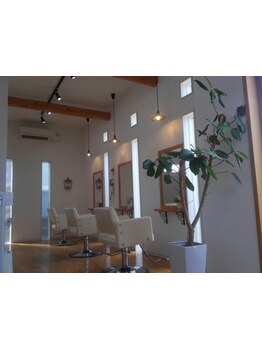 【真岡/長田】プライベート空間×ダメージレス施術が人気サロン!!県内で稀少な“HERBA”取り扱い☆