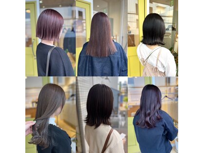 マシェリ(ma cherie)の写真