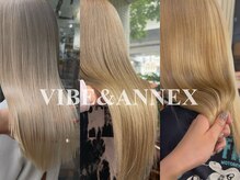 バイブアンドアネックス(VIBE & ANNEX)