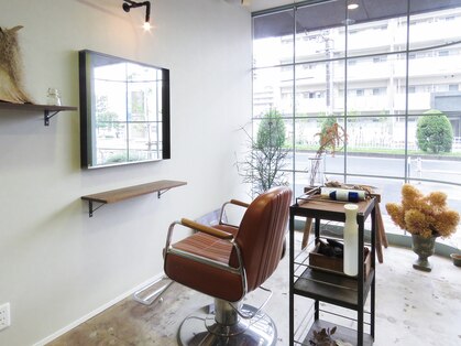 ポロロッカ(POROROCA)の写真