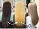 ドール(DOLL)の写真