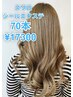 【シールエクステ70本】スワロシールエクステ70本　17300円