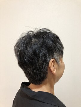 ビューティーパーク ヒロミ(Beauty Park 163) グレイを生かしたベリーショート