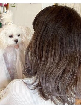 インザライフ(in the life) グラデーション