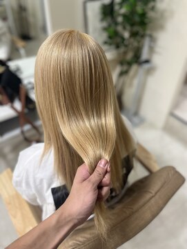 カリーナ(CARINA) ハイトーンカラー/艶髪