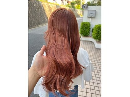 ラクス(Laks)の写真