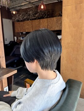 ロルド シェリ(Rold Cheri) 【山本智文】ブルーブラックハンサムショート