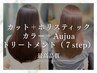【最高品質】カット＋ホリスティックカラー＋Aujuaトリートメント（７step）
