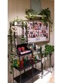 アース 稲毛海岸店(HAIR&MAKE EARTH) 2年半で観葉植物のつるがだいぶ伸びました!