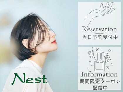 ネスト(Nest)の写真