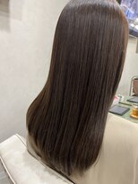 カンヌ(CANNES) イルミナサファリ