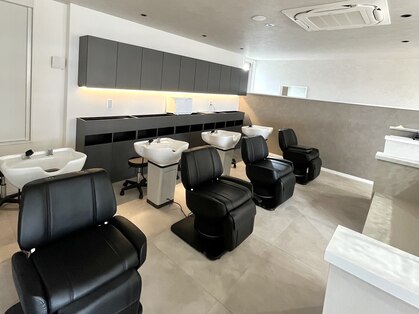 ステラ(Stella)の写真