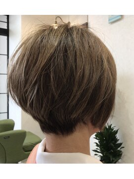 メイン クーン(Maine Coon) wash & go