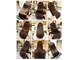 ヘアーサロン ジュエール(jyue-ru)の写真