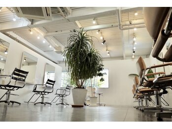 MELLOW 【メロウ】