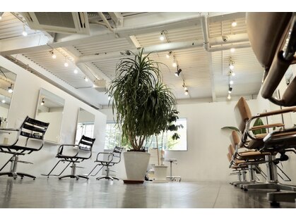 メロウ(MELLOW)の写真