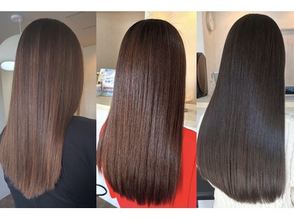 シール(Syl)の写真