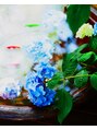 ラント(ranto)&nbsp;カメラを手に取り季節の花などを撮りに出掛けています。