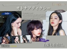 ○アディクシーカラー○取り扱い店