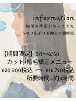 バグスドゥア(Bagus dua) 期間限定メニュー5.9ワンホンレイヤー