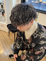 ヘアーメイクスタジオ ライフセカンド(HAIR MAKE STUDIO LIFE 2ND)&nbsp;ホワイトハイライト/ツイスパ