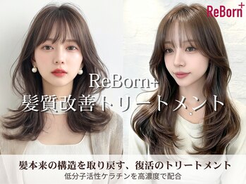 SOURCE 梅田 【ソース】