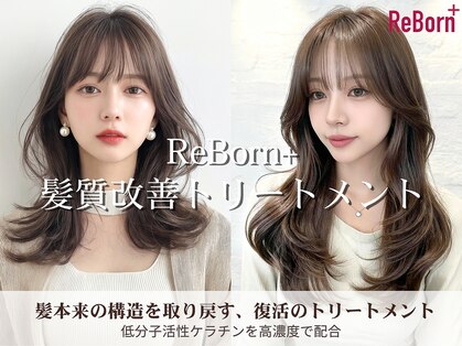 ソース 梅田(SOURCE)の写真