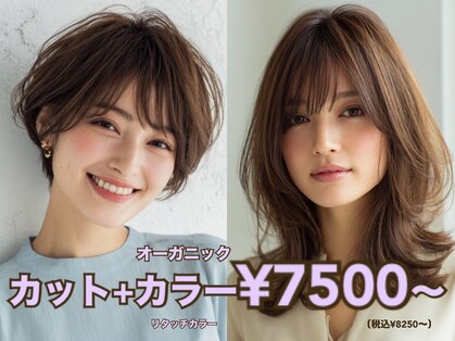 ロアール 楠(LOAOL KUSUNOKI)の写真