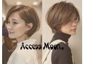 アクセスムーン(Access Moon)