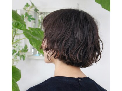インザシー(in the sea)の写真