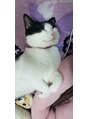 カット&エスティ カミキリ 髪綺里 家の2歳のにゃんこです