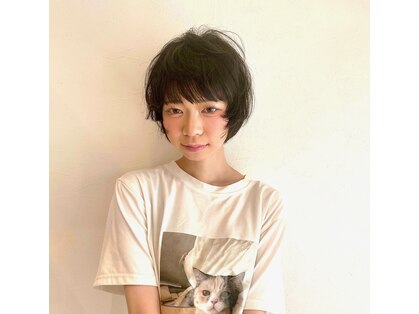 ビートル(Beetle)の写真