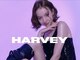 ハーヴィー 大宮店(HARVEY)の写真