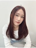 レイヤー