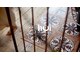 フーイ(hui)の写真
