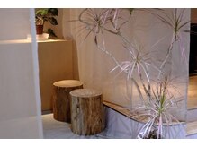 ヌーナ(nuna.)の雰囲気（店内２）