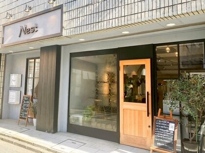 ネスト(Nest)の写真