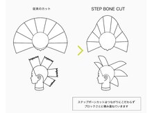 骨格補正できるワケは、【ボリューム自由自在の展開図】