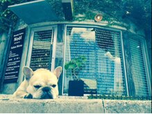 ビューティー サロン ノエル(Beauty salon Noel)の雰囲気（住宅街にパッと目に付くオシャレな外観♪）